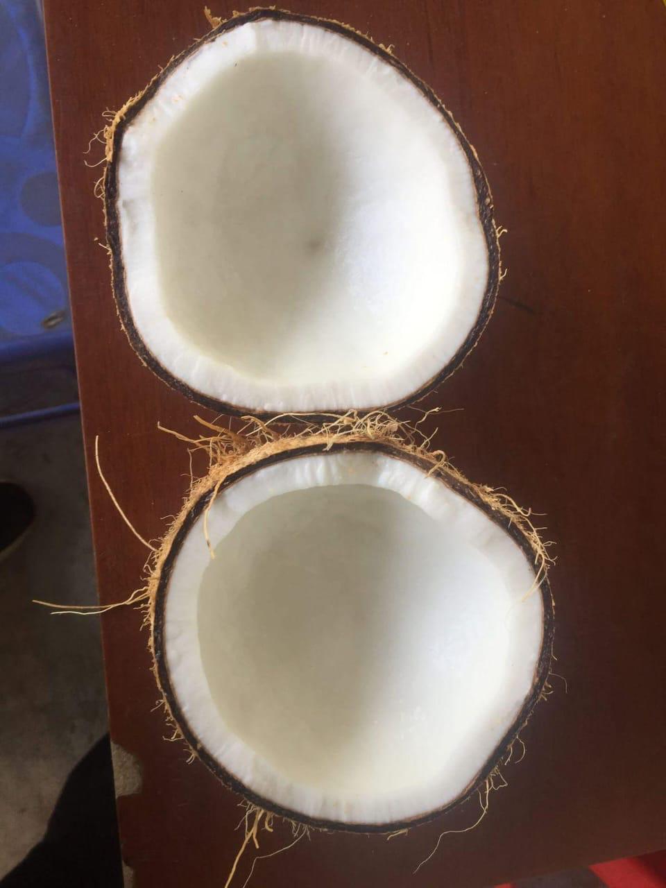 WhatsApp Image 2025-06-03 at 7.43.12 PM (1).jpeg